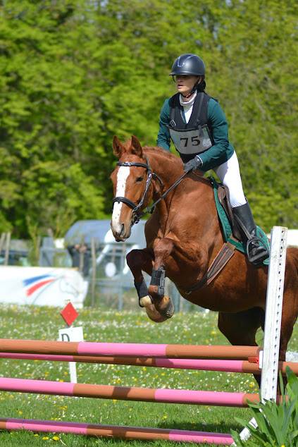 Demi-pension sur top jument de CCE, dressage, hunter !