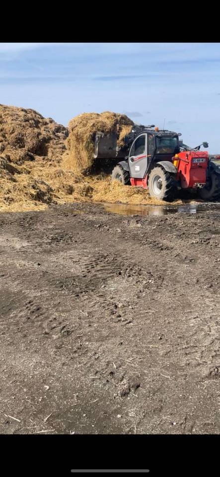 Sofien 37ans Palefrenier pour un poste log&eacute; 