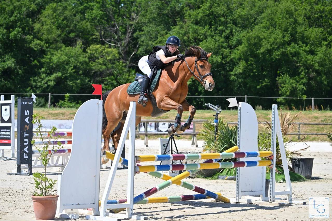 Poney hors taille pour CSO/CCE 110/115