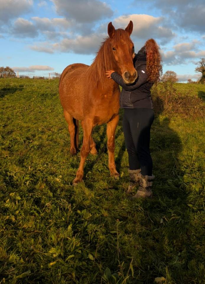 Jument Poney Landais