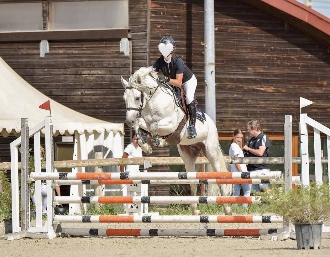 Poney 9 ans - pour &eacute;preuves AS 