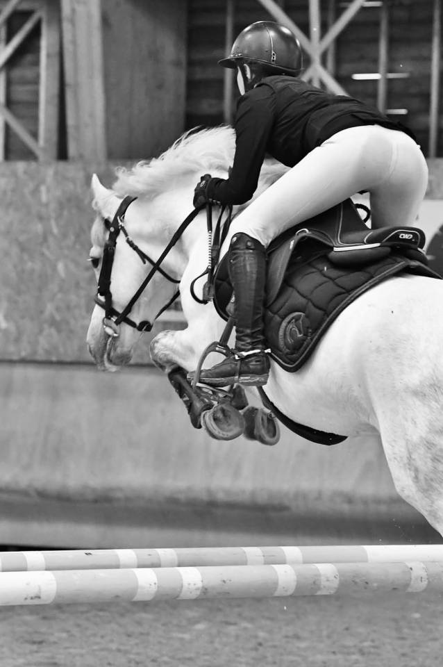 Poney 9 ans - pour &eacute;preuves AS 