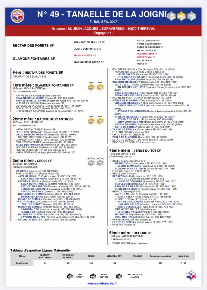 Foal M&acirc;les de 2025