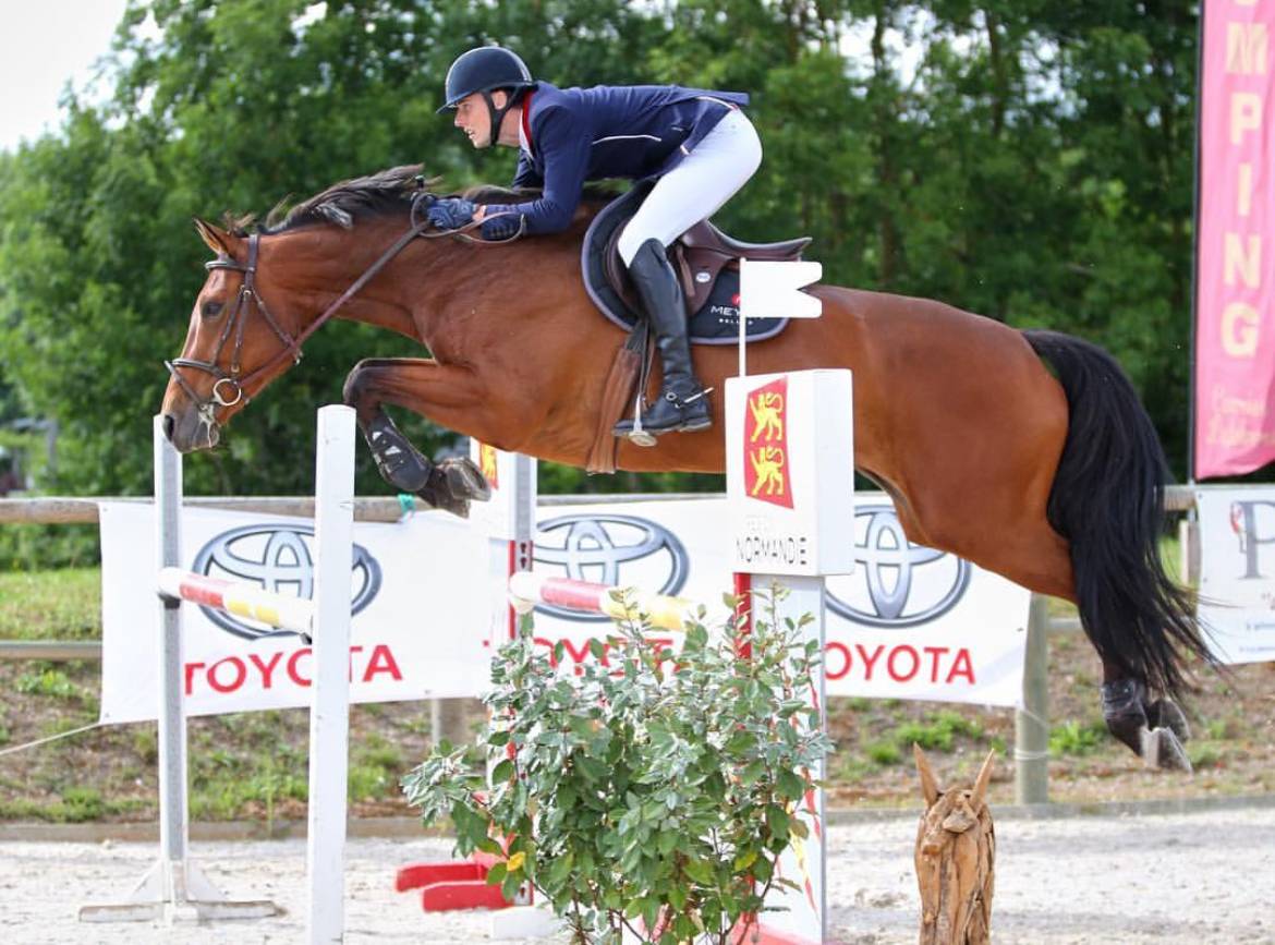 Foal M&acirc;les de 2025