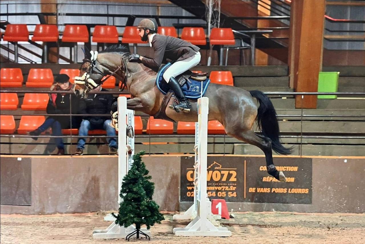 Poulain M&acirc;le 2025