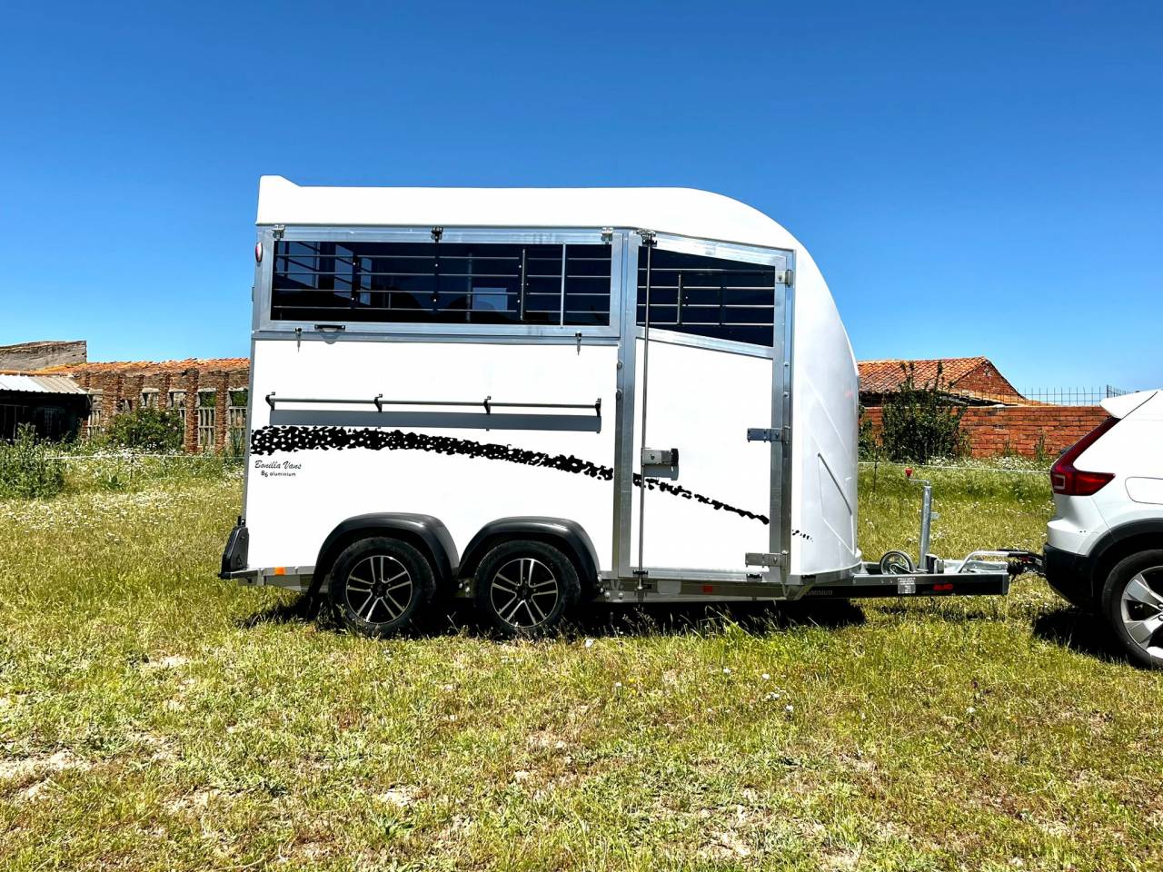 Van Bonilla Diagonal 2