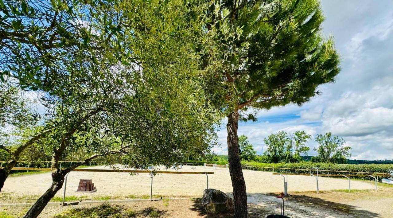 PROPRIETE DE 5 HECTARES DANS LE TARN ET GARONNE 
