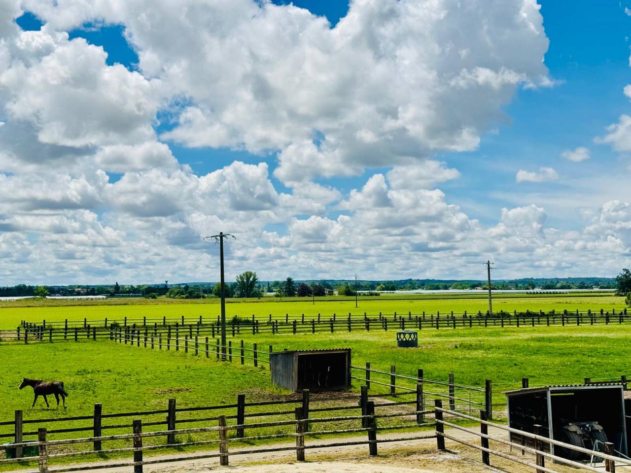 PROPRIETE DE 5 HECTARES DANS LE TARN ET GARONNE 