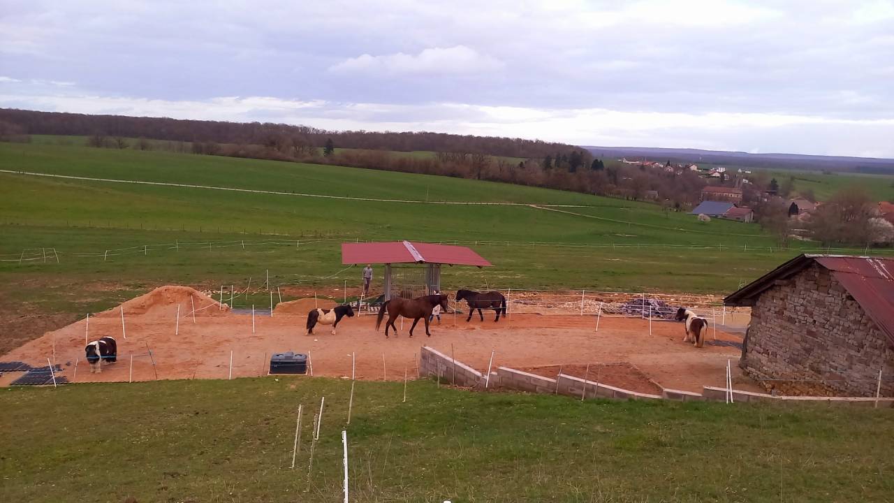 Pension pr&eacute;/paddock stabilis&eacute; 
