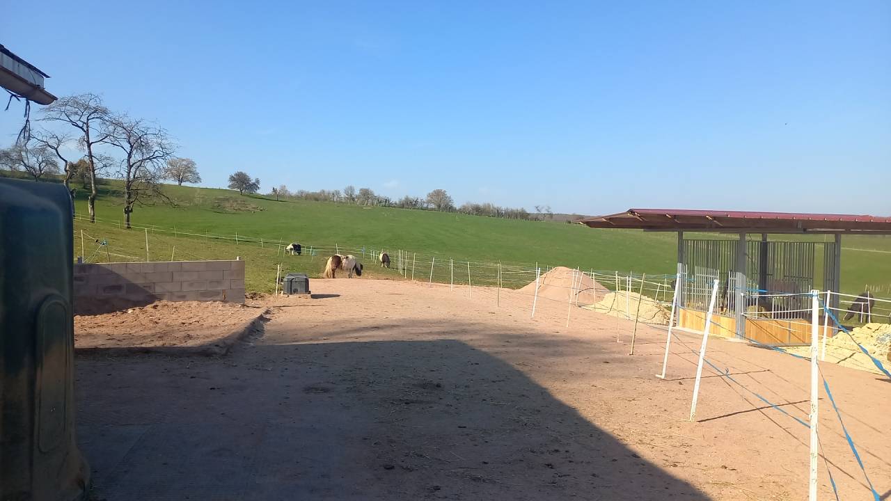 Pension pr&eacute;/paddock stabilis&eacute; 