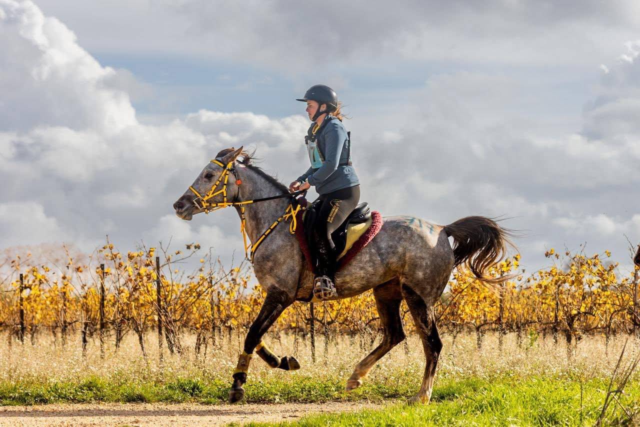 Ponette de sport top origine 