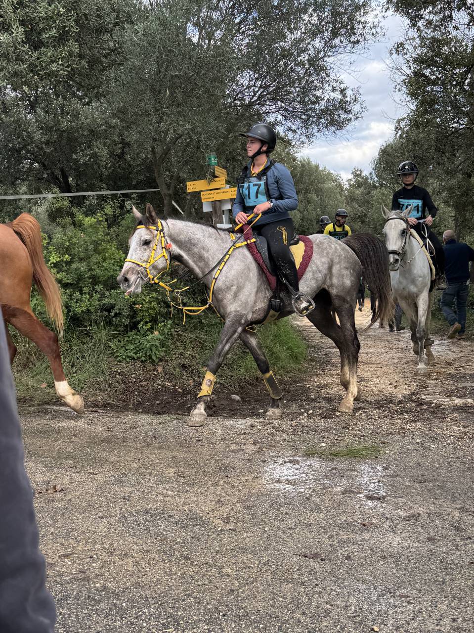 Ponette de sport top origine 