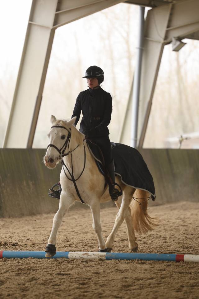 Ponette Camargue de 16 ans