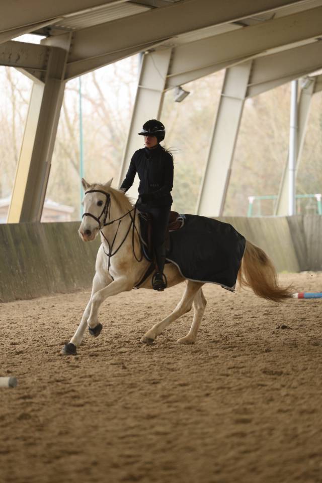 Ponette Camargue de 16 ans
