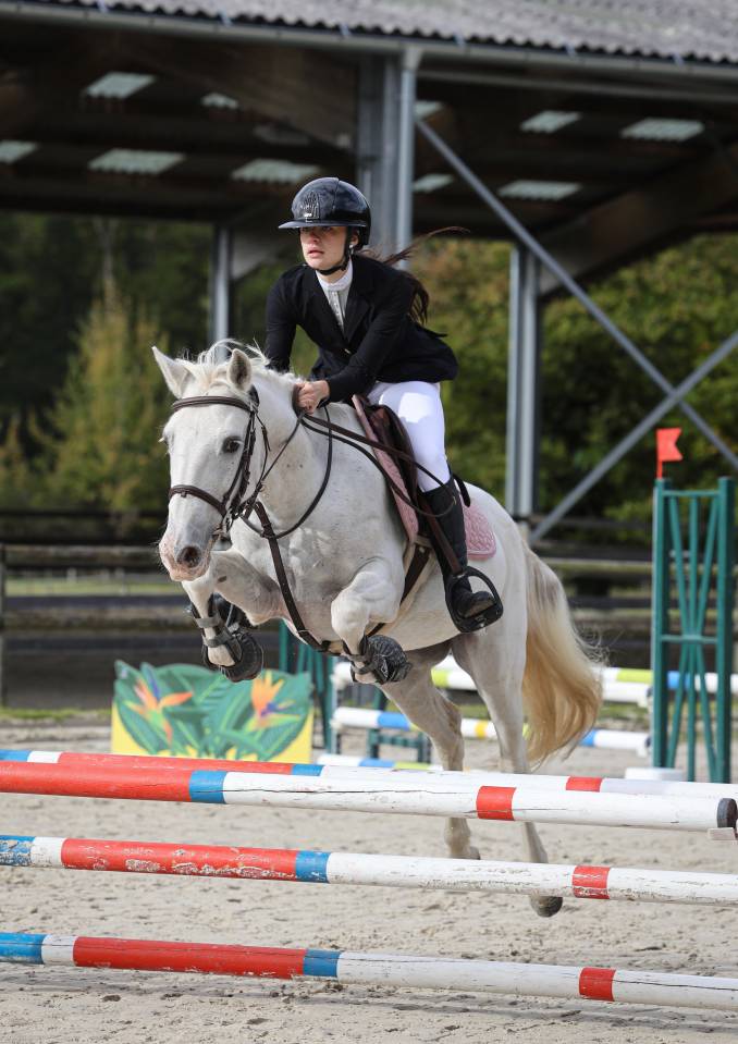 Ponette Camargue de 16 ans