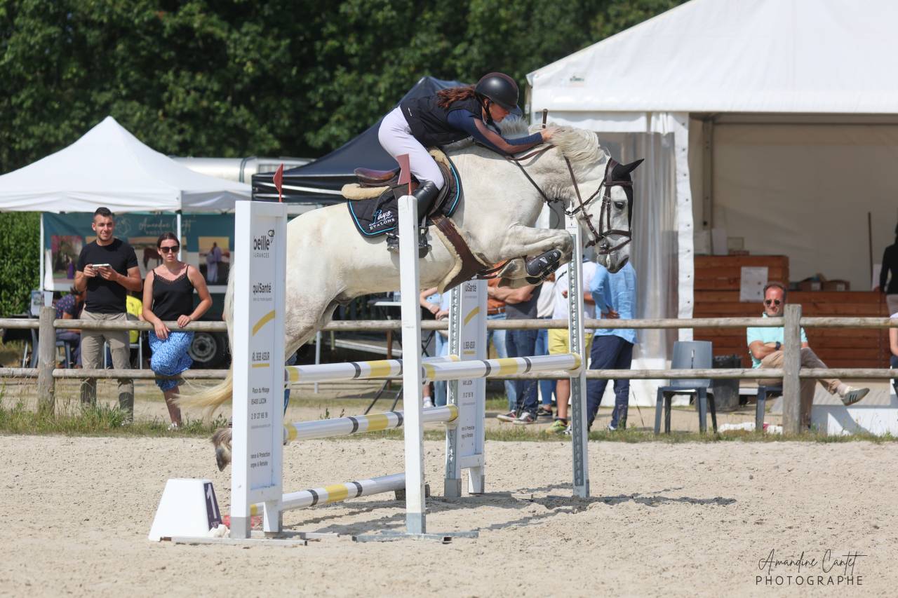 Poney &agrave; LOUER 