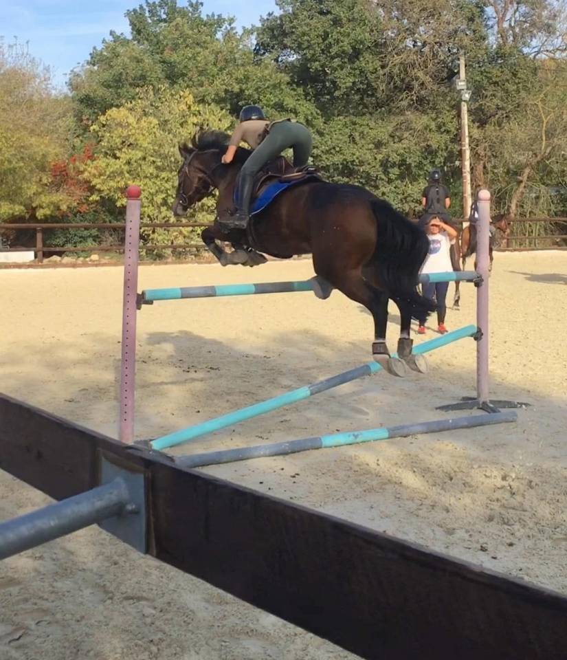 Poney &agrave; vendre 