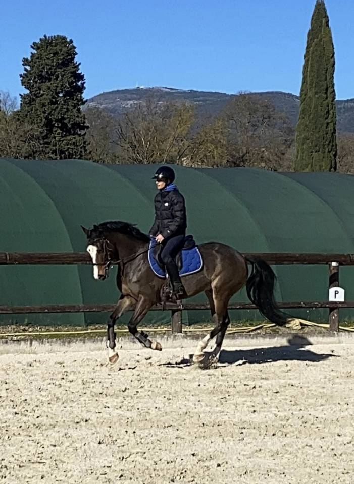 Poney &agrave; vendre 