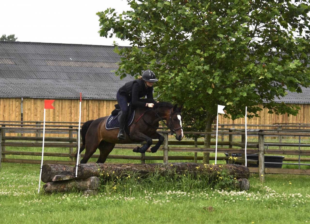 Recherche apprentissage BPJEPS 