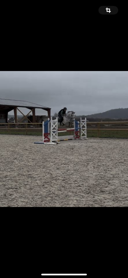 Recherche apprentissage BPJEPS 