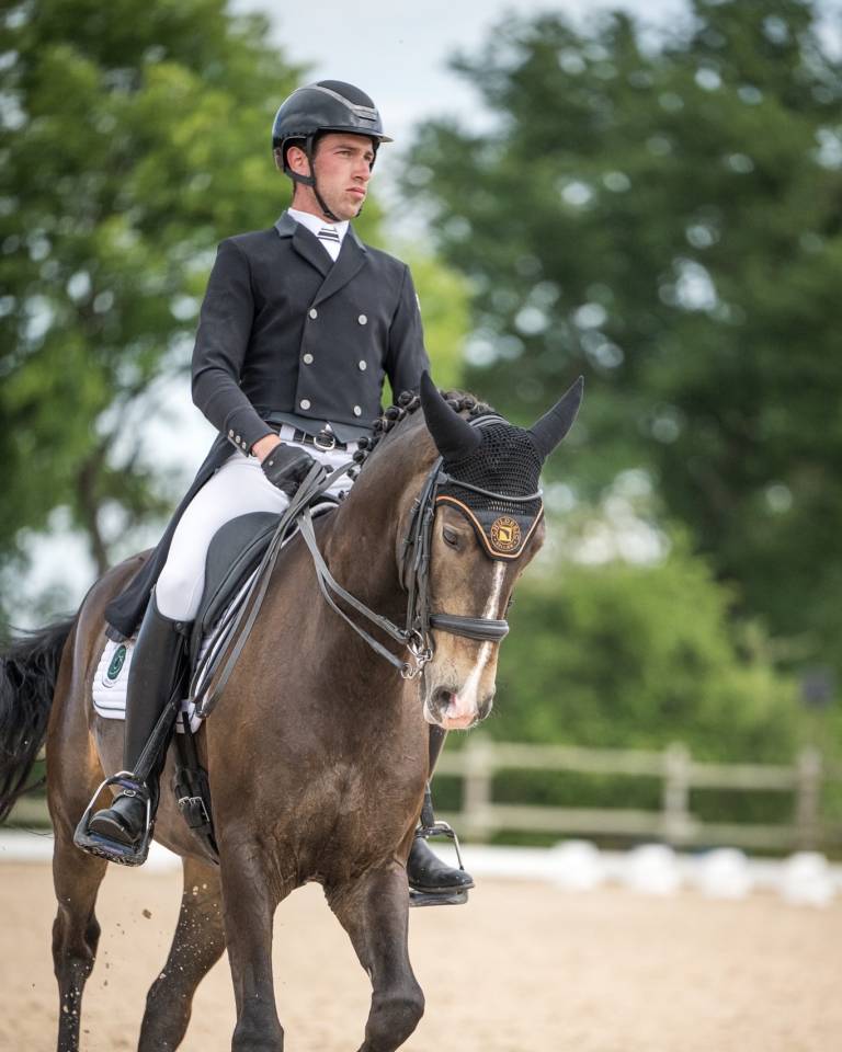 Enseignant Dressage/Equitation de travail