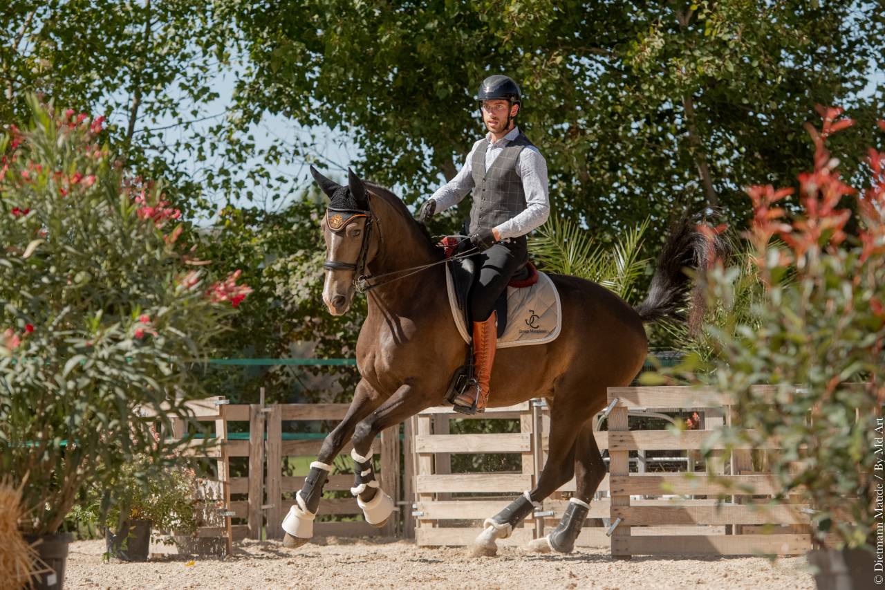 Enseignant Dressage/Equitation de travail