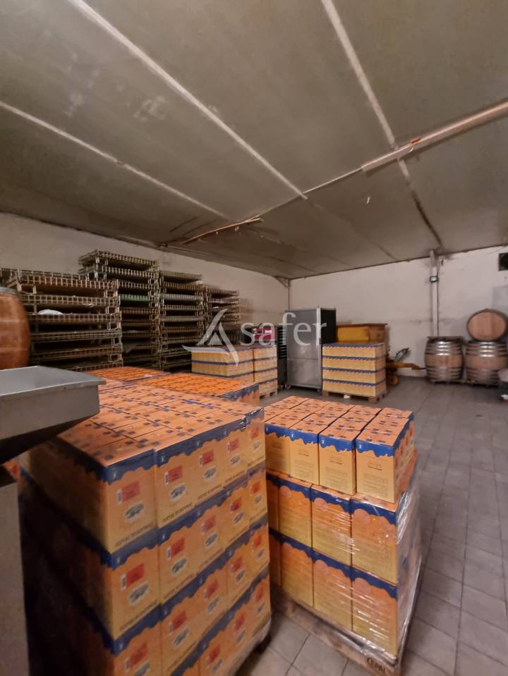 Domaine agricole 22ha Gaillac