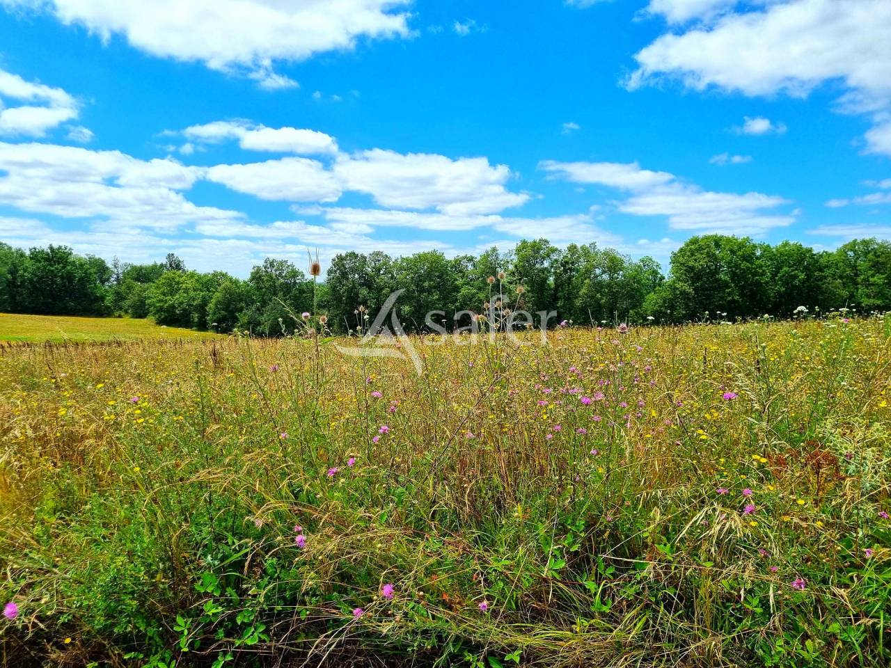 Proche de Valence joli corps de ferme en pierre r&eacute;nov&eacute; sur 17