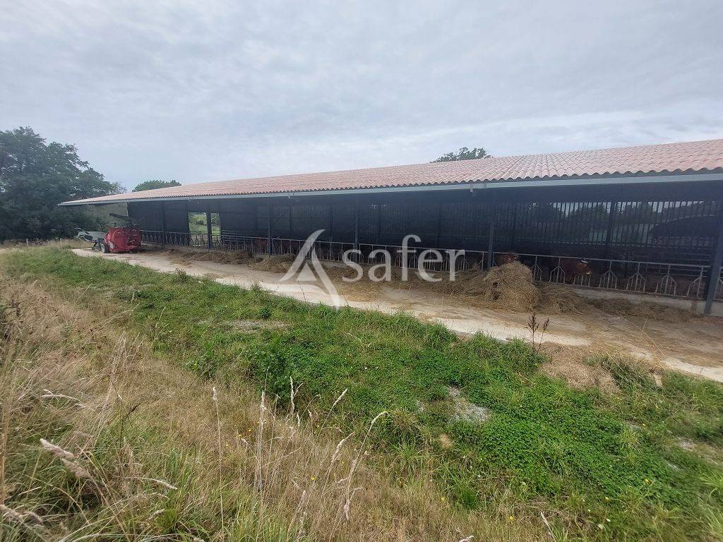 Propri&eacute;t&eacute; d'environ 12,20 ha tr&egrave;s bien structur&eacute;e