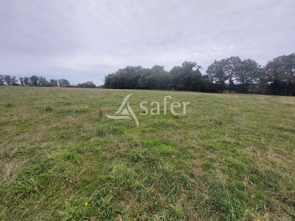 Propri&eacute;t&eacute; d'environ 12,20 ha tr&egrave;s bien structur&eacute;e