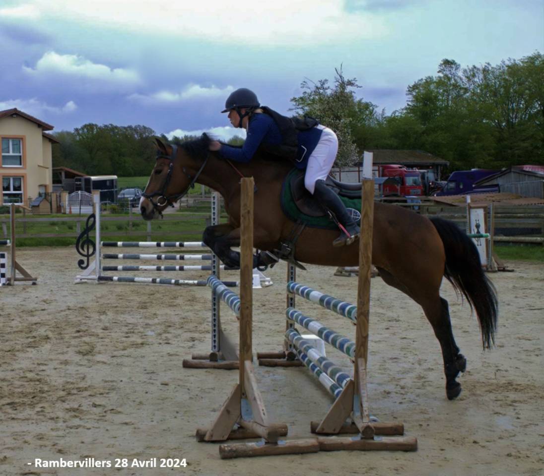 Jazzie de l'&eacute;tang ponette polyvalence