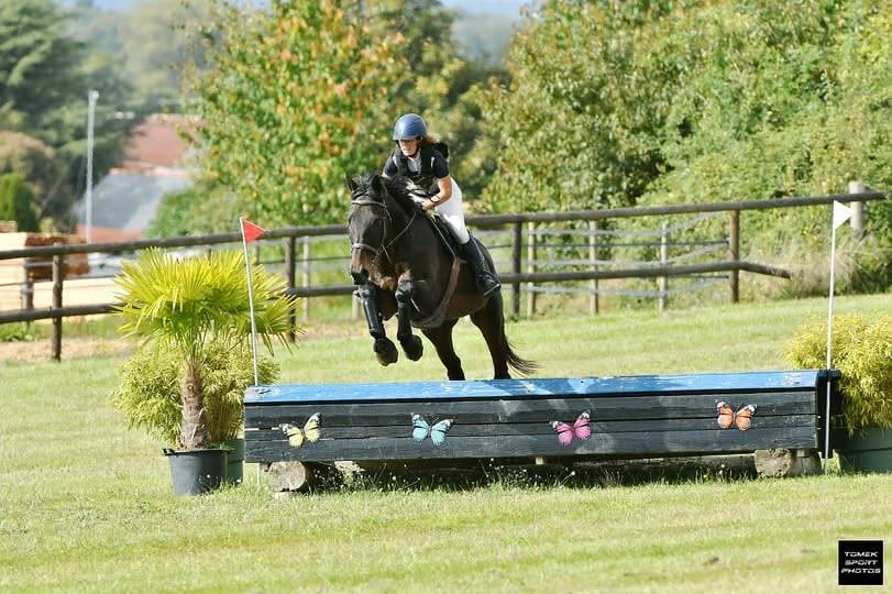 Super cheval pour loisir et comp&eacute;tition 