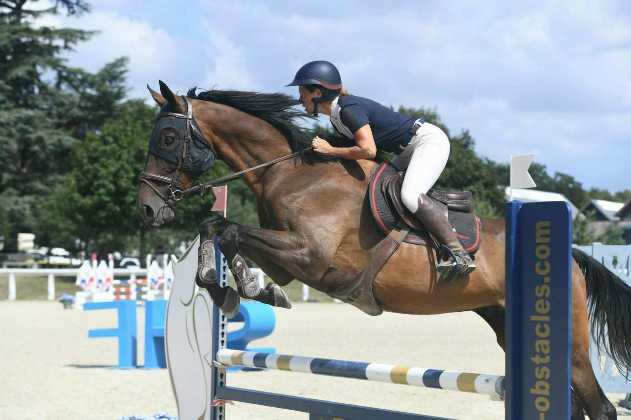 Super cheval pour loisir et comp&eacute;tition 