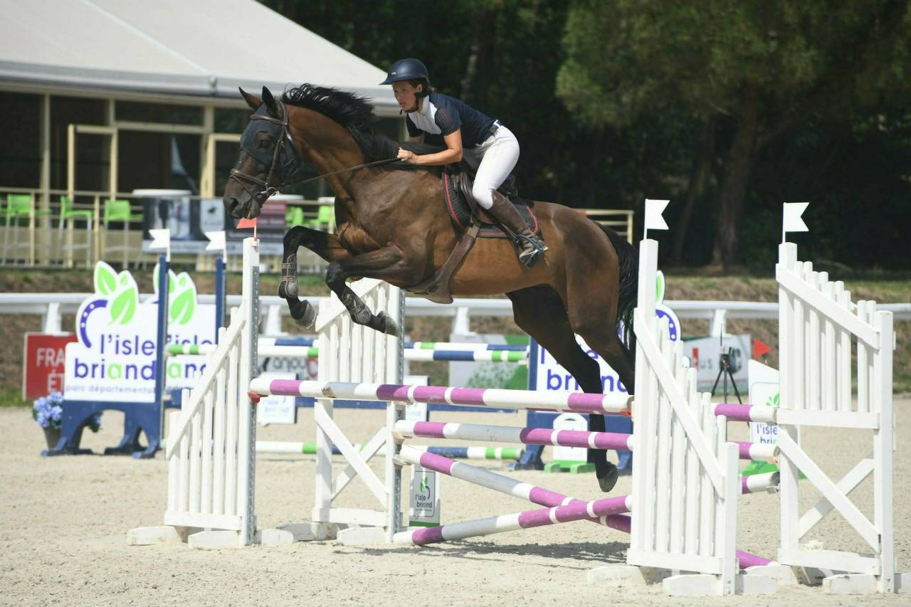 Super cheval pour loisir et comp&eacute;tition 