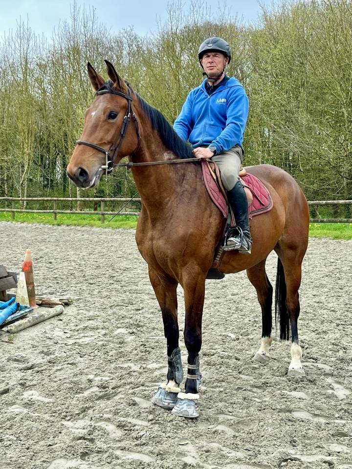 Jument CSO 5 ans, SF, Origines Diamant / Kashmir