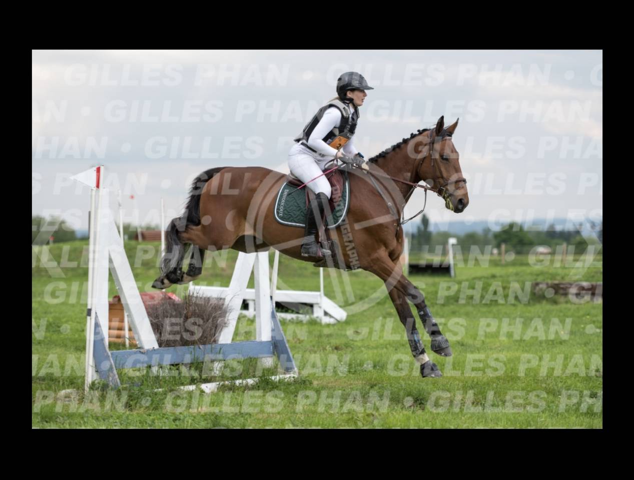 Recherche dp/ pension compl&egrave;te 