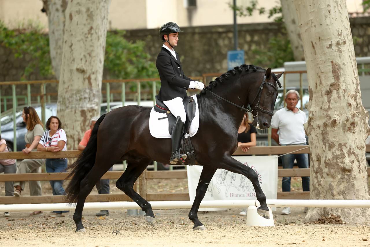 Offrez l'excellence &agrave; vos futures g&eacute;n&eacute;rations