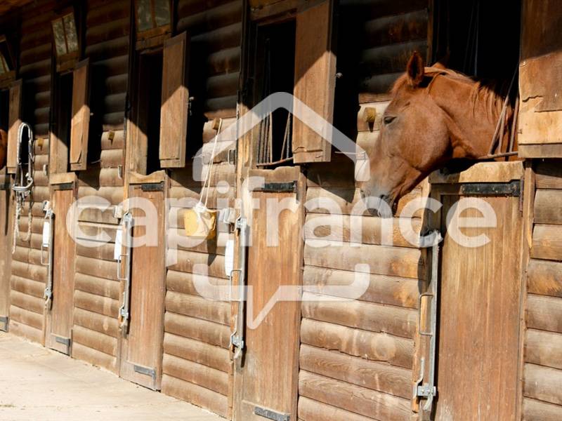 Bouches-du-Rh&ocirc;ne (13) SAINTES MARIES DE LA MER (13460) 