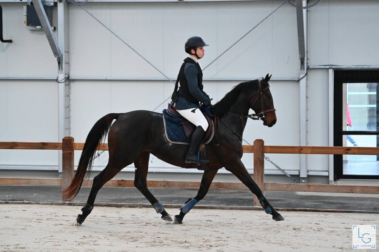 Jument 8 ans &agrave; vendre