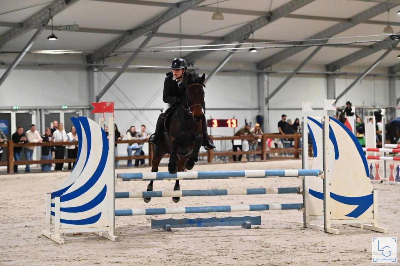 Jument 8 ans &agrave; vendre