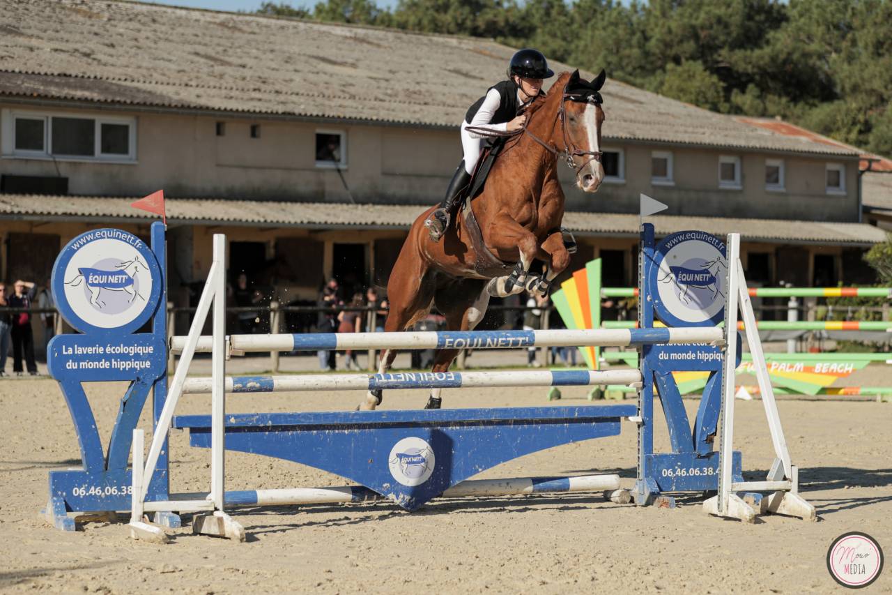 Super cheval de concours 