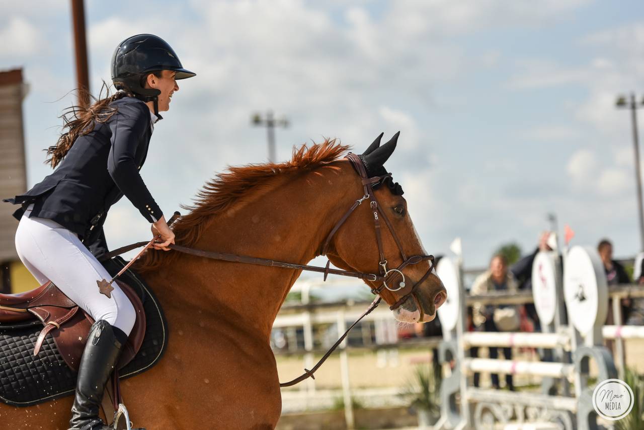 Super cheval de concours 