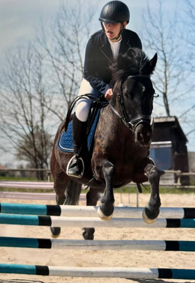 Ponette 130 cm porteuse 