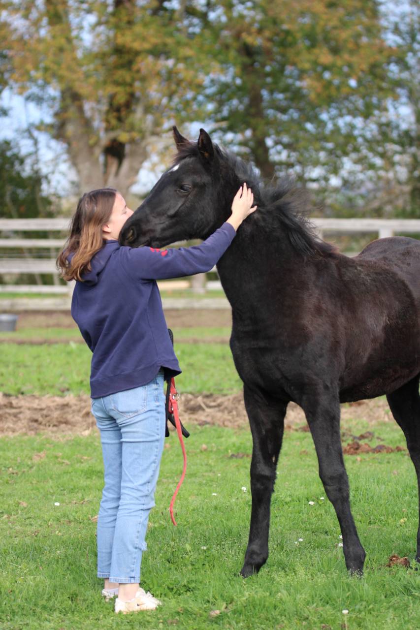 Valse de Blackgrim (x Nalegro)
