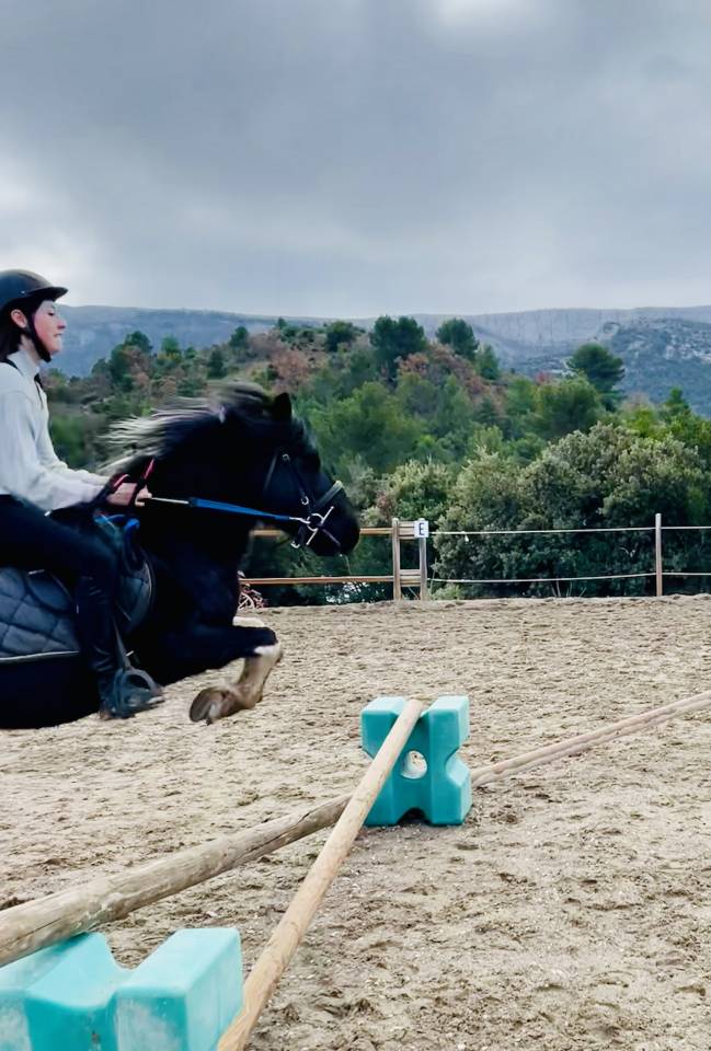 Ponette de club et &eacute;levage pie noir onc 10 ans 