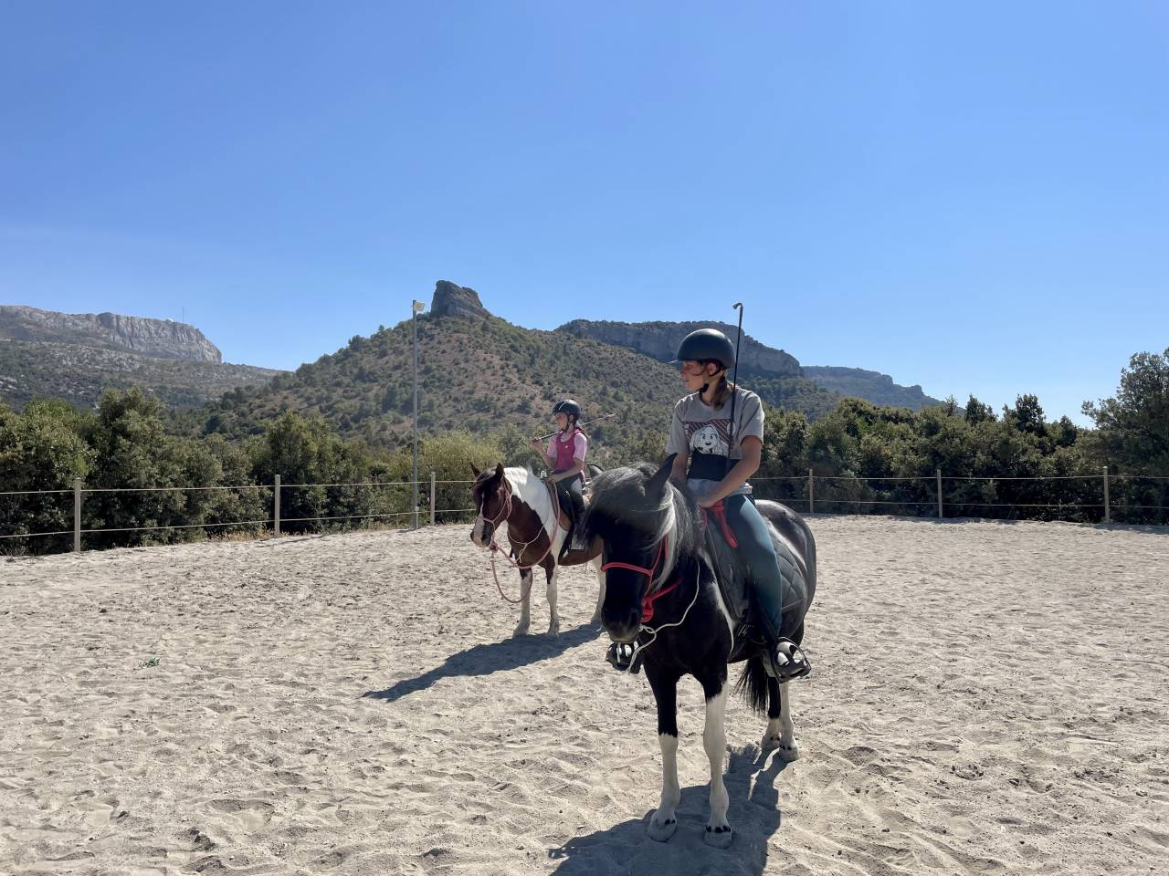 Ponette de club et &eacute;levage pie noir onc 10 ans 