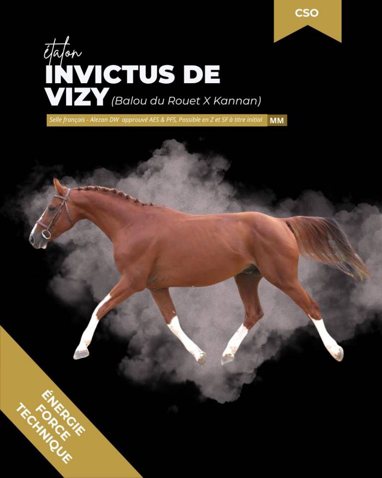 SAILLIES ETALON DE COULEUR 