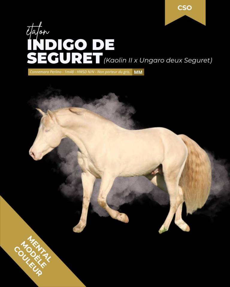 SAILLIES ETALON DE COULEUR 