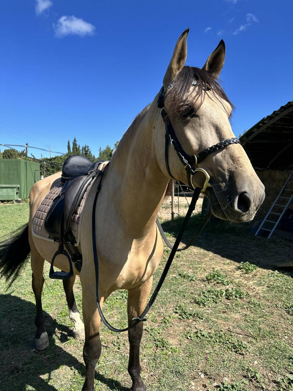 Confiance tous frais tous gains