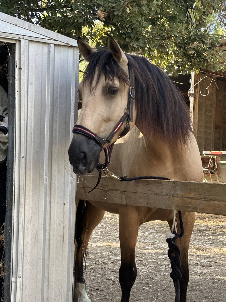 Confiance tous frais tous gains